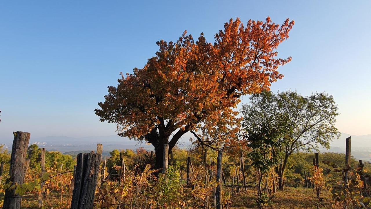 Sárkányles Vendégház Kisapati Esterno foto